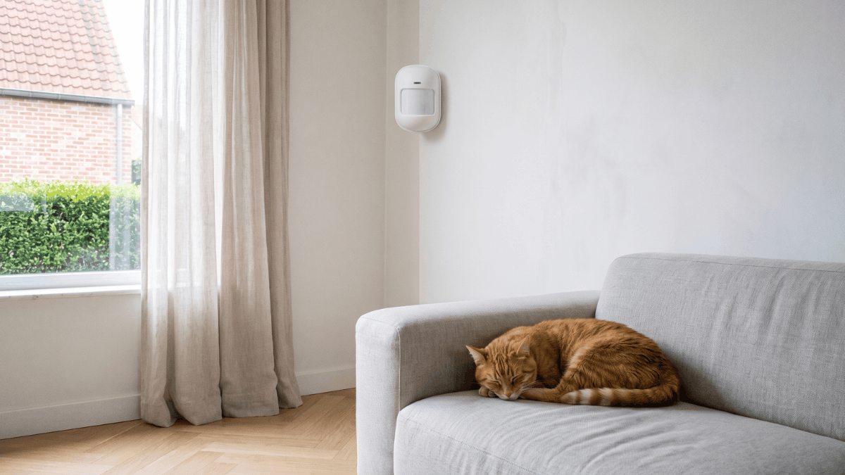 Een kleine witte draadloze bewegingsmelder zit hoog in de hoek van een Belgische woonkamer terwijl een rode kat rustig op een grijze sofa ligt onder het raam met daglicht.